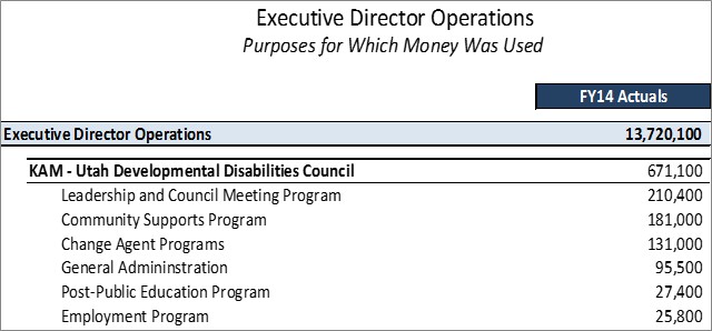 Utah Developmental Disabilities Council Detailed Purposes